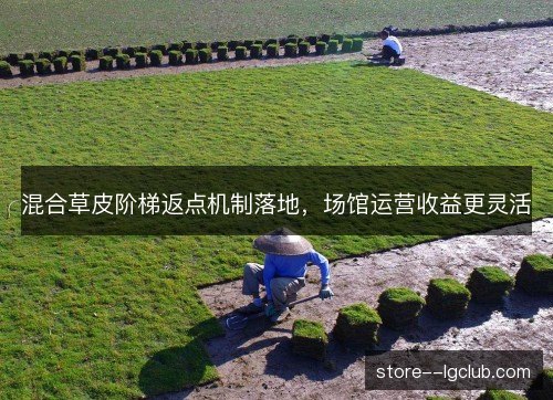 混合草皮阶梯返点机制落地，场馆运营收益更灵活